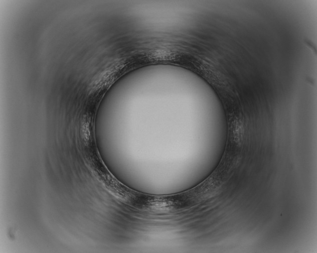 X0000101230746200807111120