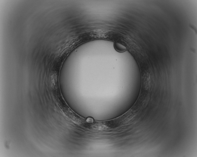 X0000101230747200807111120