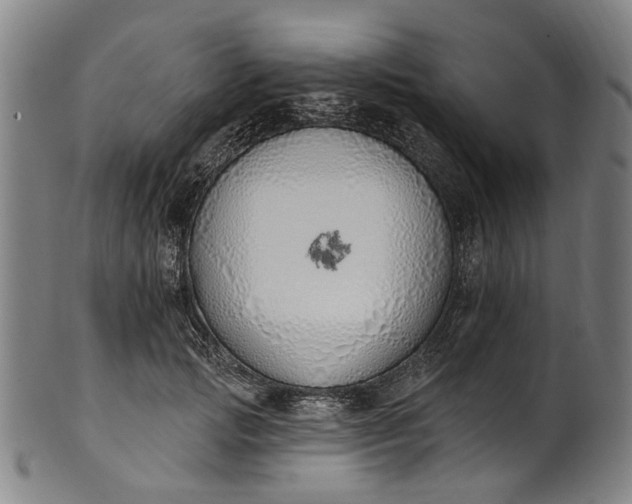 X0000101230749200807111120