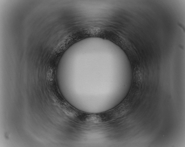 X0000101230750200807111120