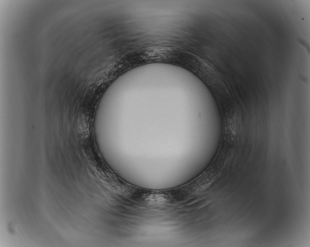 X0000101230751200807111120