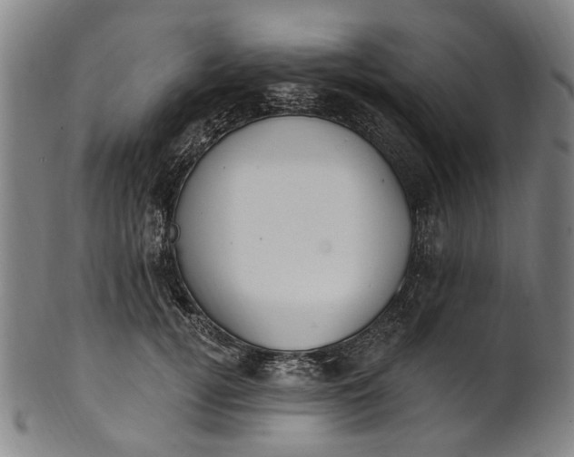 X0000101230752200807111120