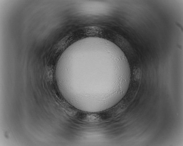 X0000101230753200807111120