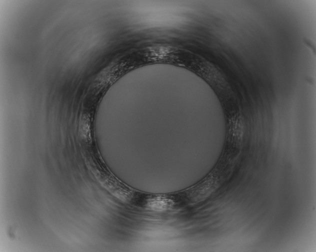 X0000101230754200807111120