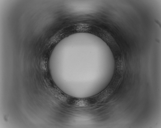 X0000101230755200807111120