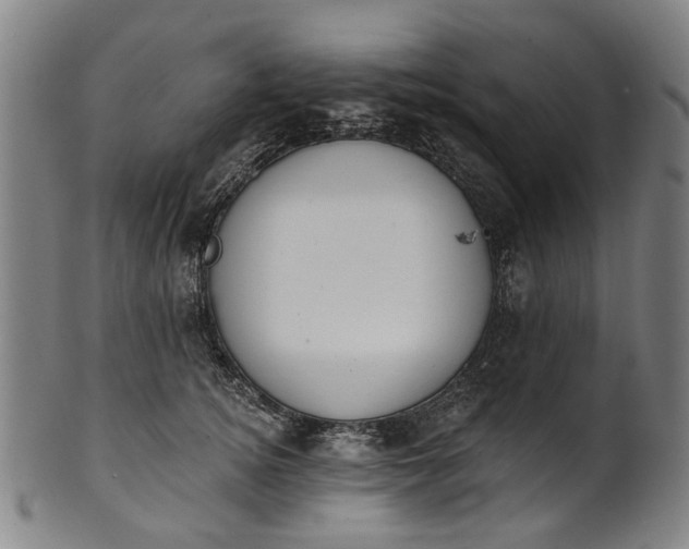 X0000101230756200807111120