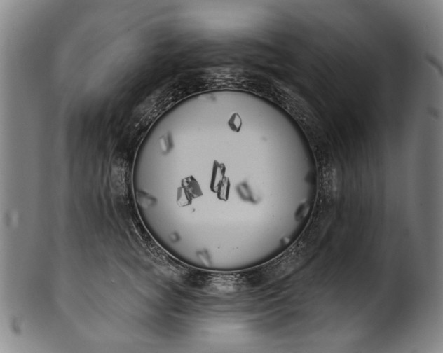 X0000101230757200807111120