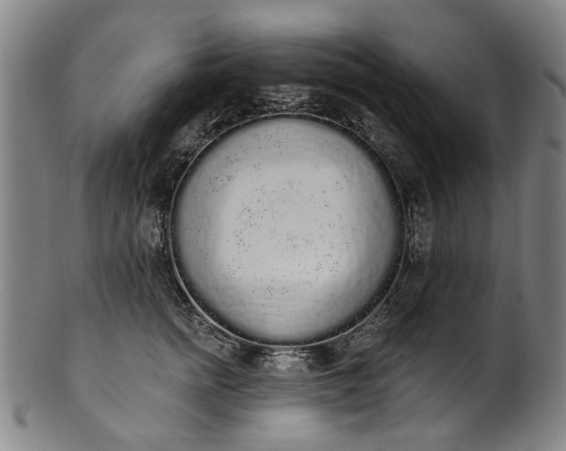 X0000101230758200807111120