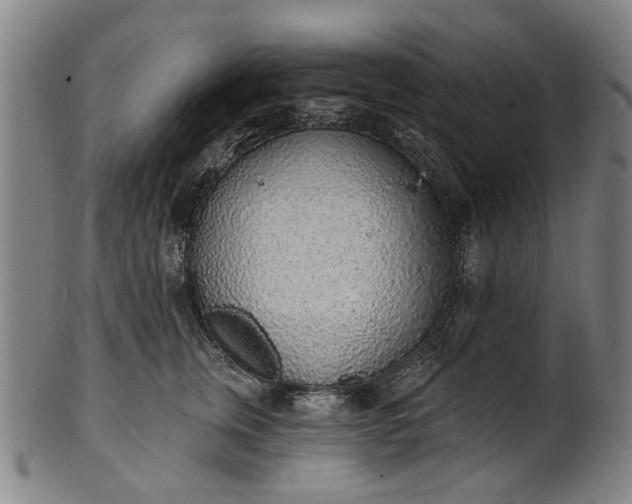 X0000101230759200807111120