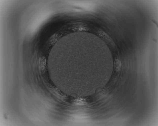 X0000101230760200807111120