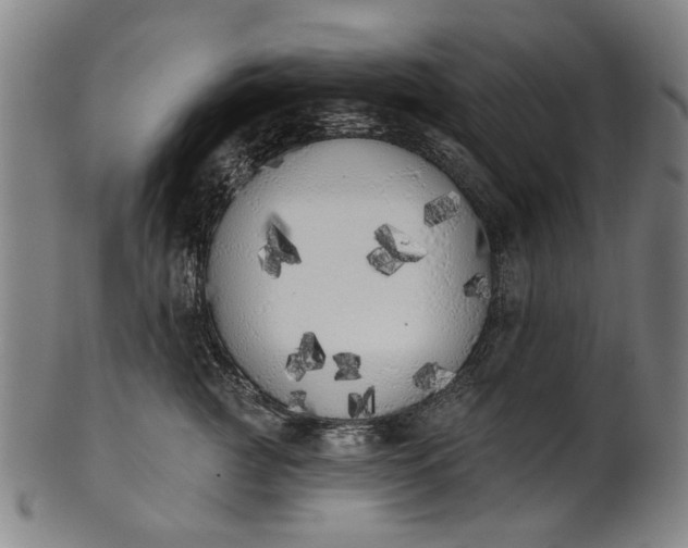 X0000101230761200807111120