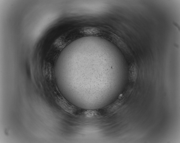 X0000101230762200807111120