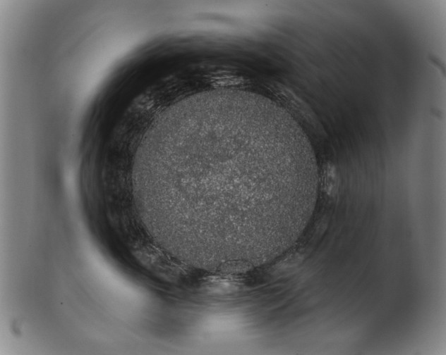 X0000101230763200807111120