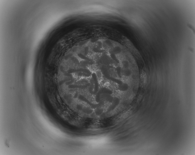 X0000101230765200807111120