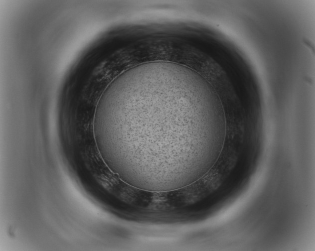 X0000101230766200807111120