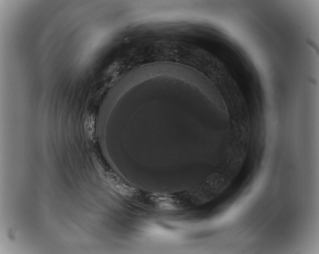 X0000101230767200807111120