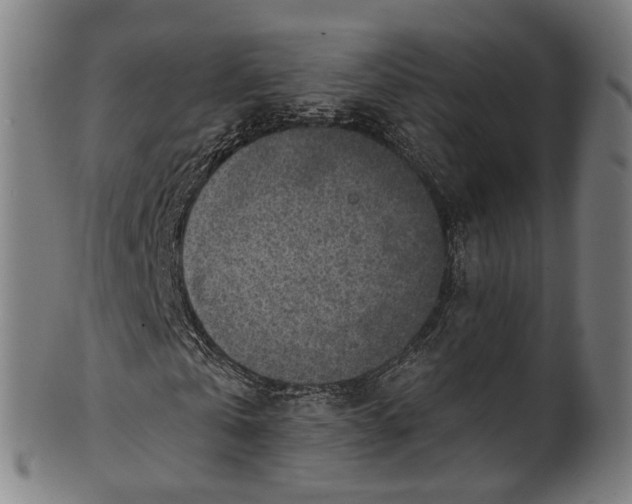 X0000101230769200807111119