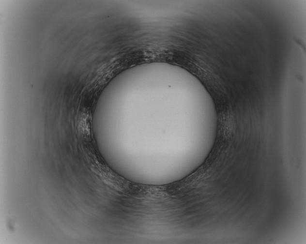 X0000101230770200807111119