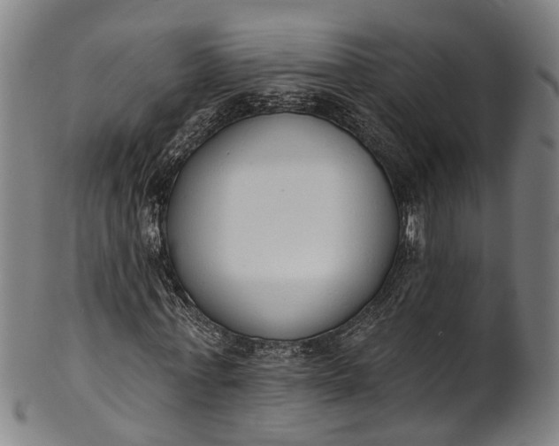 X0000101230771200807111119