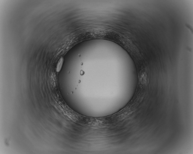 X0000101230772200807111119