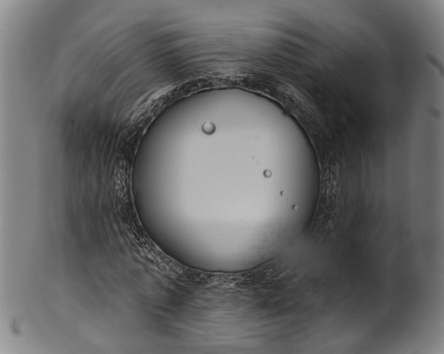 X0000101230773200807111119