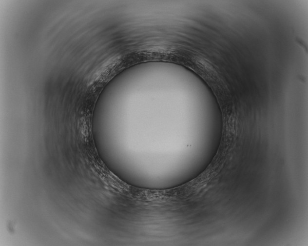 X0000101230774200807111119