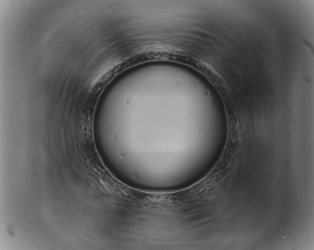 X0000101230775200807111119