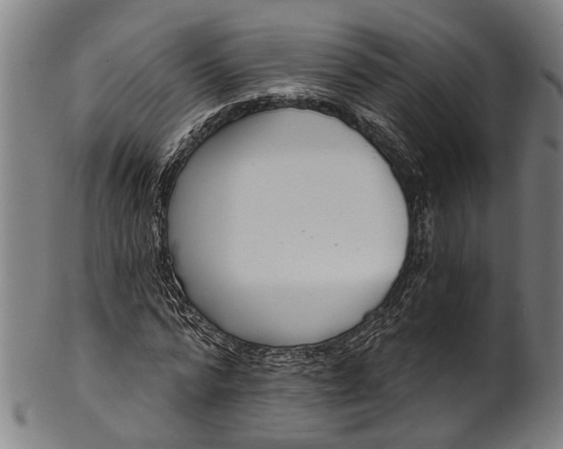 X0000101230776200807111119