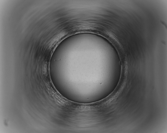 X0000101230777200807111119