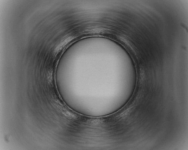 X0000101230778200807111119