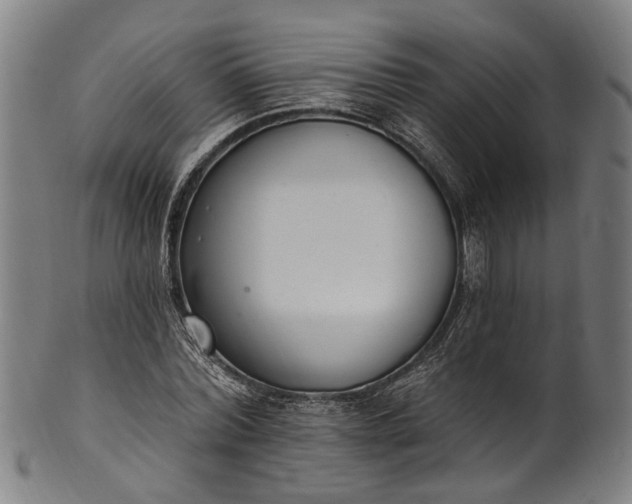 X0000101230780200807111119