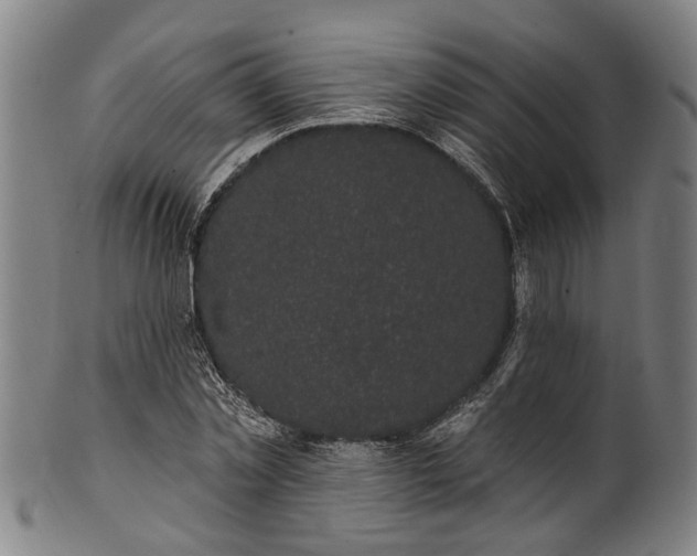 X0000101230781200807111119