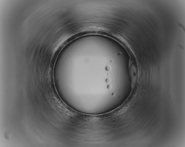 X0000101230783200807111119