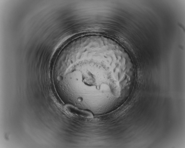 X0000101230784200807111119