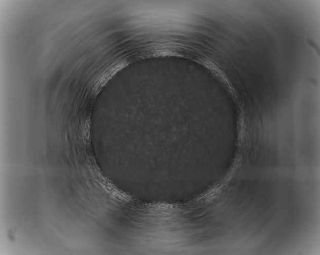 X0000101230785200807111119