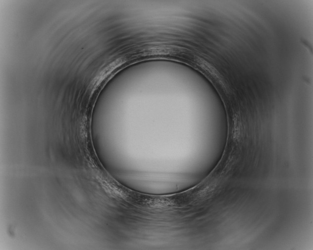 X0000101230786200807111119