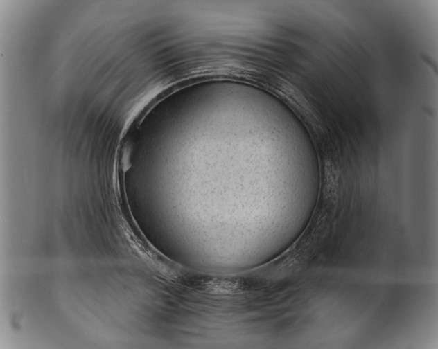 X0000101230788200807111119