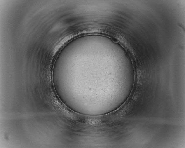 X0000101230789200807111119