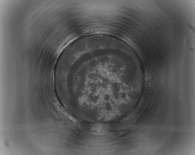 X0000101230790200807111119