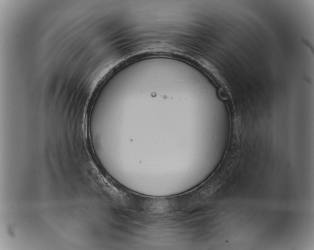 X0000101230791200807111119