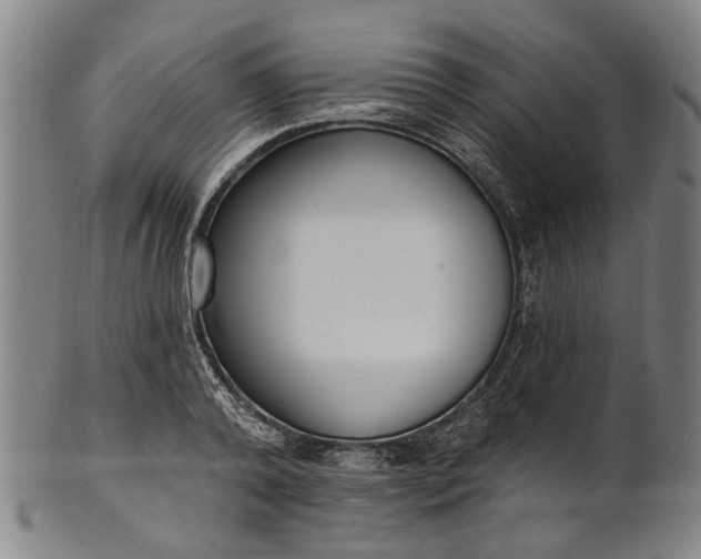 X0000101230792200807111119