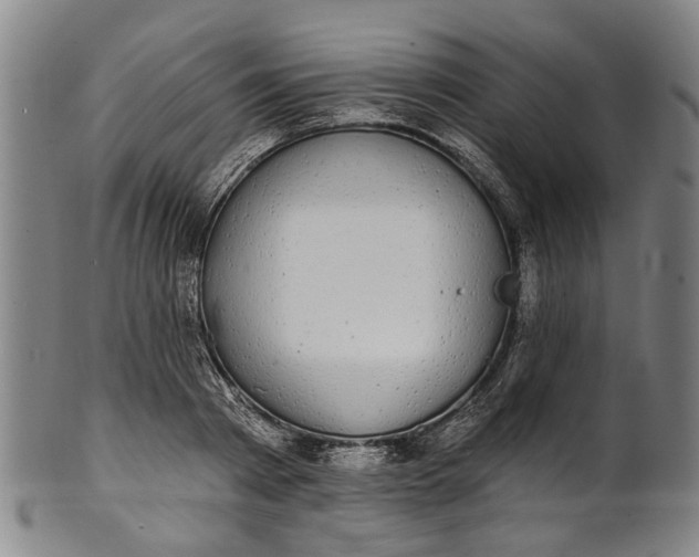 X0000101230793200807111119