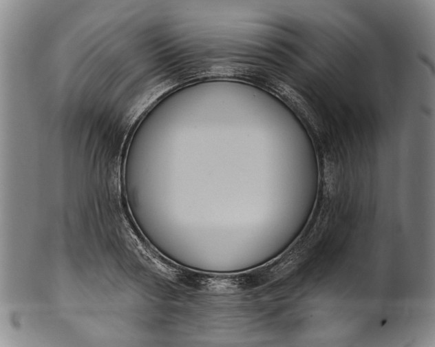 X0000101230794200807111119