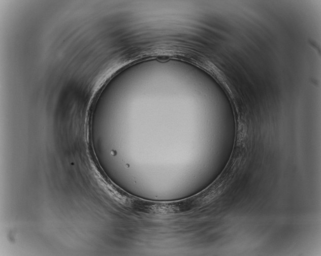 X0000101230795200807111119