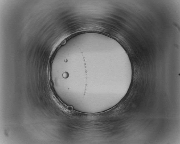 X0000101230796200807111119