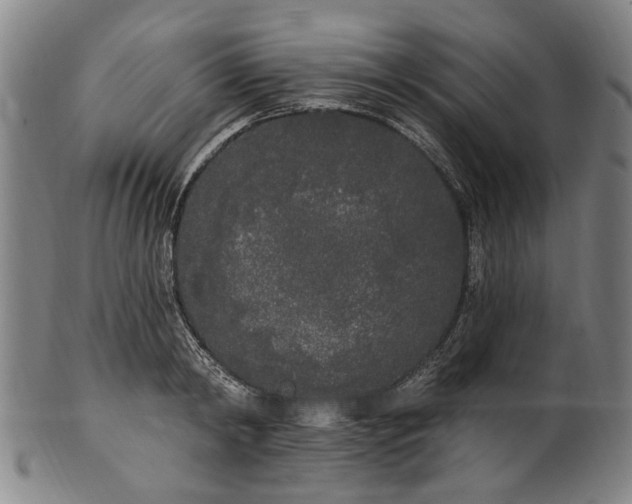 X0000101230798200807111119