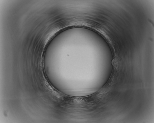 X0000101230799200807111119