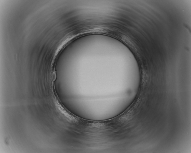 X0000101230800200807111119