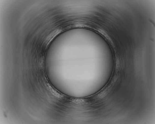 X0000101230801200807111119