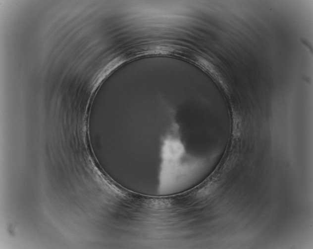 X0000101230802200807111119